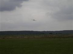 PICT2519.JPG